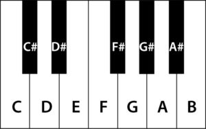 Learn Music Theory In 5 Minutes: Guitar And Piano Chord Theory For ...